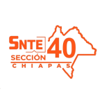 SNTE-40-removebg-preview (1)